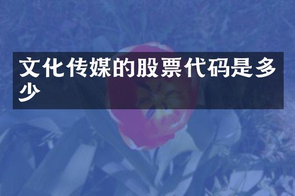 文化传媒的股票代码是多少