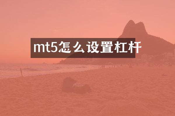 mt5怎么设置杠杆