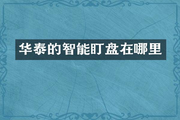 华泰的智能盯盘在哪里