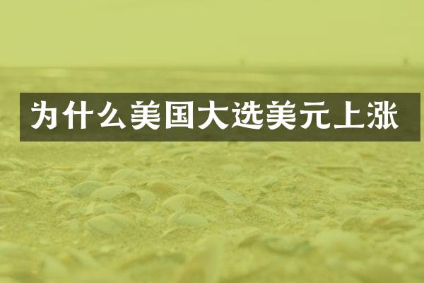 为什么美国大选美元上涨