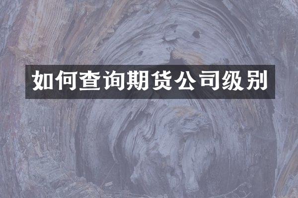 如何查询期货公司级别