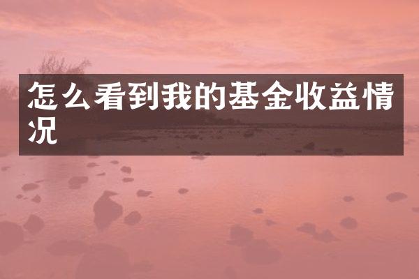 怎么看到我的基金收益情况