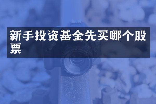 新手投资基金先买哪个股票