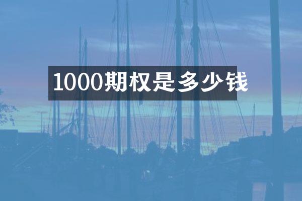 1000期权是多少钱