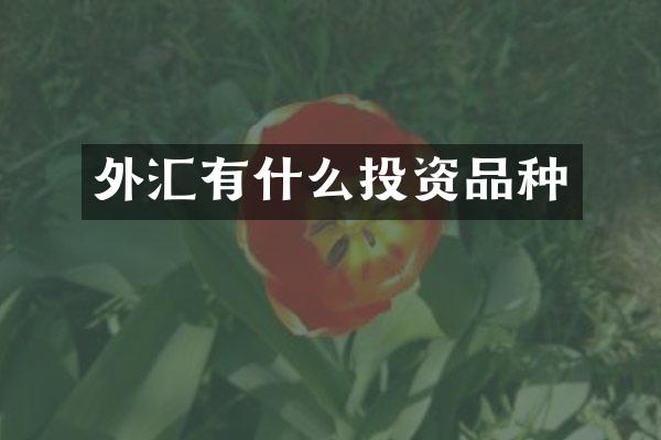 外汇有什么投资品种
