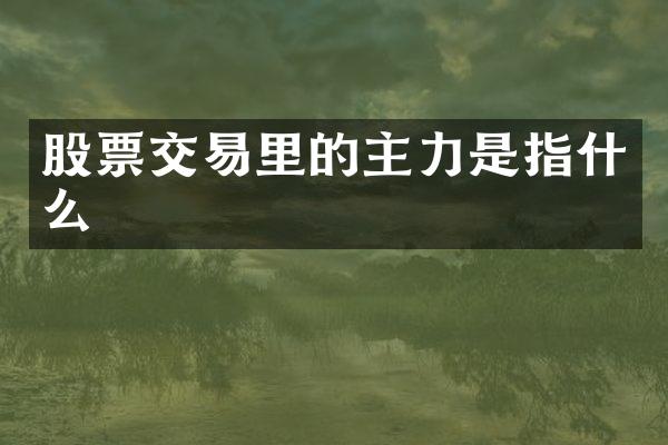 股票交易里的主力是指什么