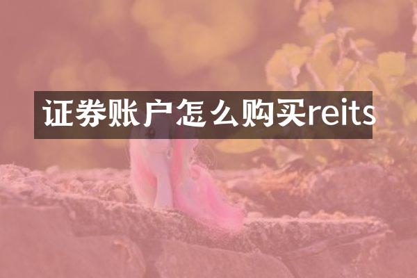 证券账户怎么购买reits