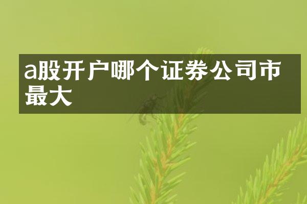 a股开户哪个证券公司市值最大