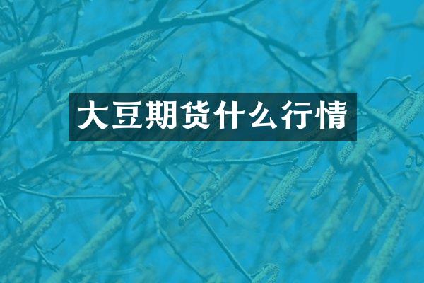 大豆期货什么行情