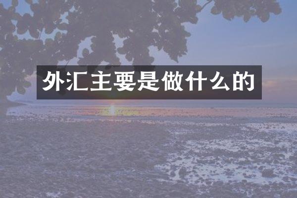 外汇主要是做什么的
