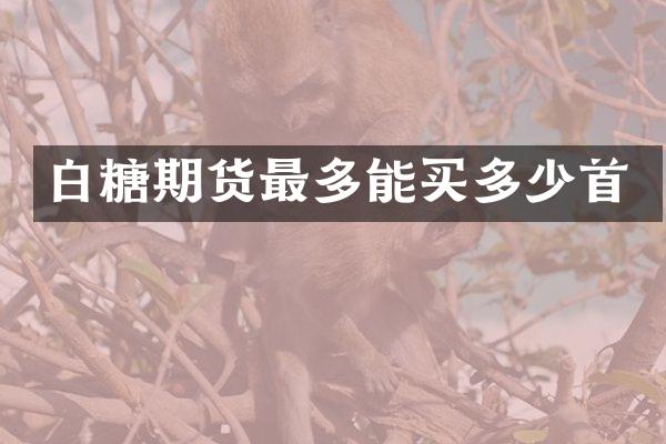 白糖期货最多能买多少首