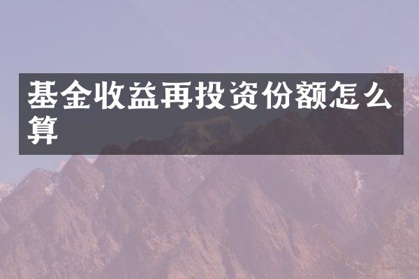 基金收益再投资份额怎么算