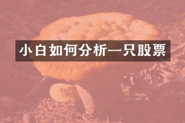 小白如何分析一只股票