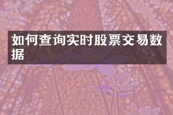 如何查询实时股票交易数据