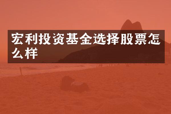 宏利投资基金选择股票怎么样