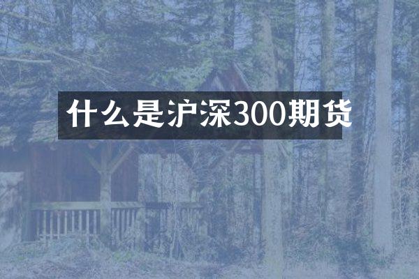什么是沪深300期货