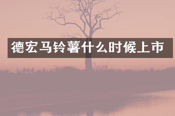德宏马铃薯什么时候上市