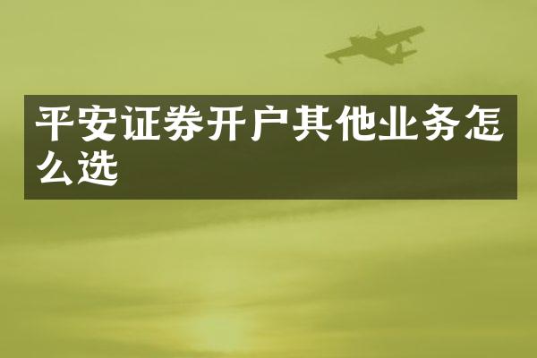 平安证券开户其他业务怎么选
