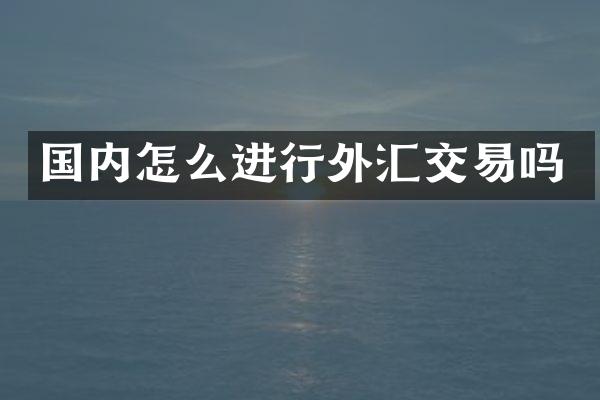 国内怎么进行外汇交易吗
