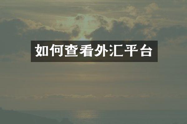 如何查看外汇平台