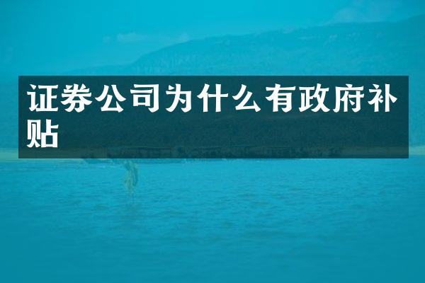 证券公司为什么有政府补贴