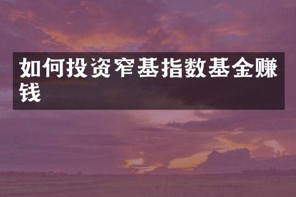 如何投资窄基指数基金赚钱