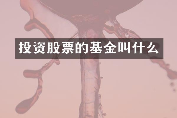 投资股票的基金叫什么