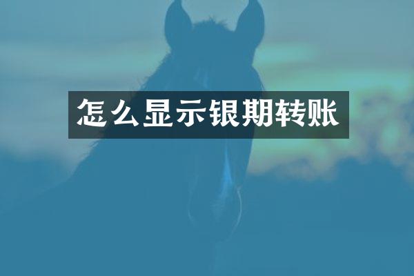 怎么显示银期转账