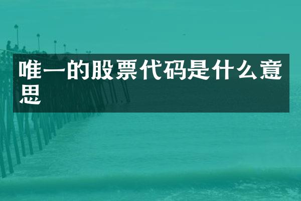唯一的股票代码是什么意思