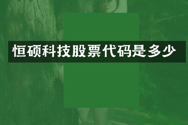 恒硕科技股票代码是多少