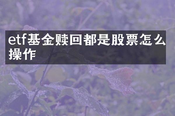 etf基金赎回都是股票怎么操作