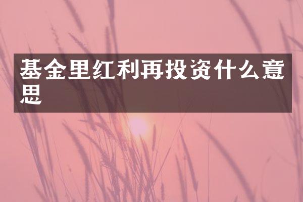 基金里红利再投资什么意思