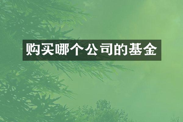 购买哪个公司的基金