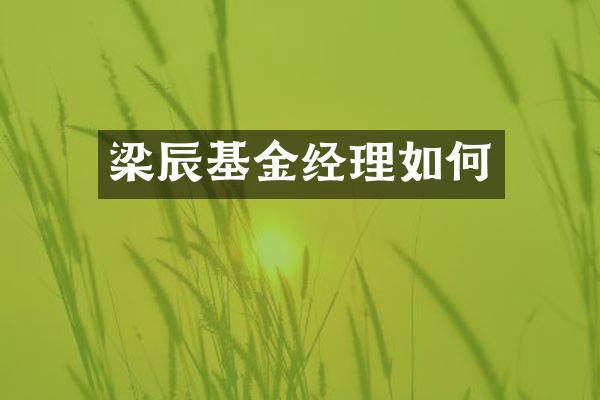 梁辰基金经理如何
