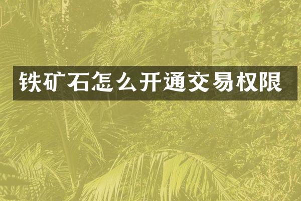 铁矿石怎么开通交易权限