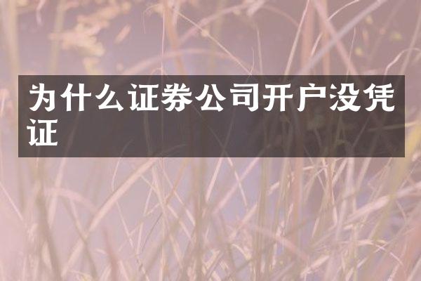 为什么证券公司开户没凭证
