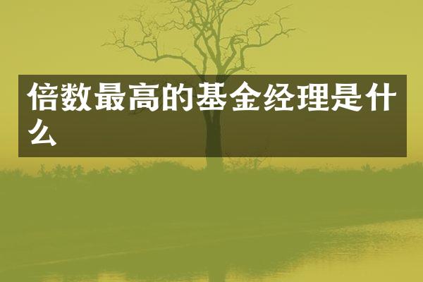 倍数最高的基金经理是什么
