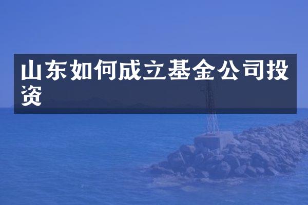 山东如何成立基金公司投资