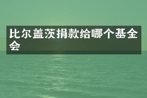 比尔盖茨捐款给哪个基金会