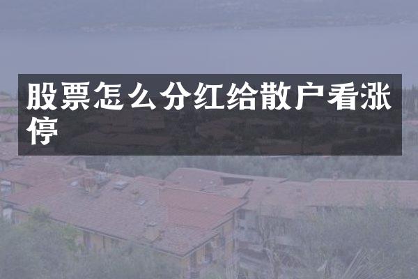 股票怎么分红给散户看涨停