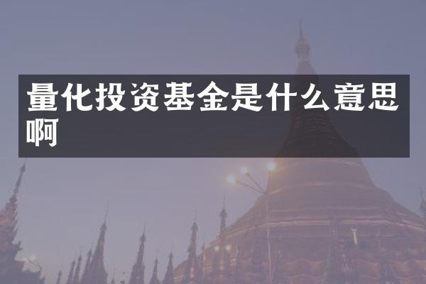 量化投资基金是什么意思啊