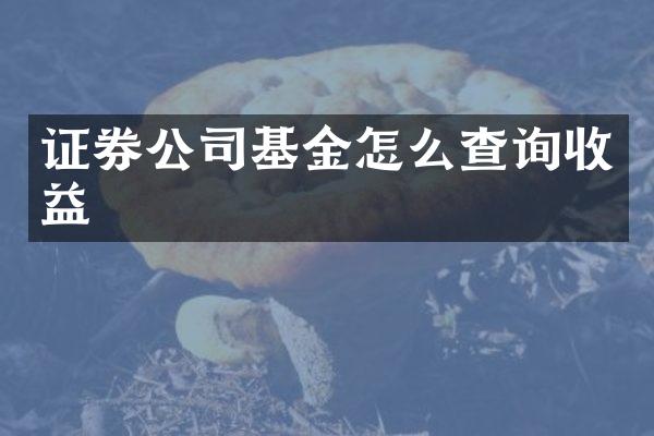 证券公司基金怎么查询收益