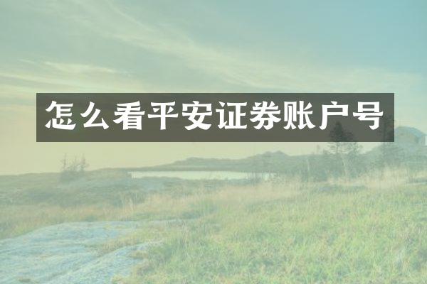怎么看平安证券账户号