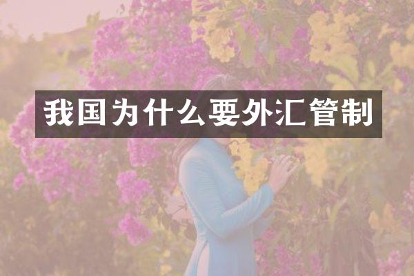 我国为什么要外汇管制