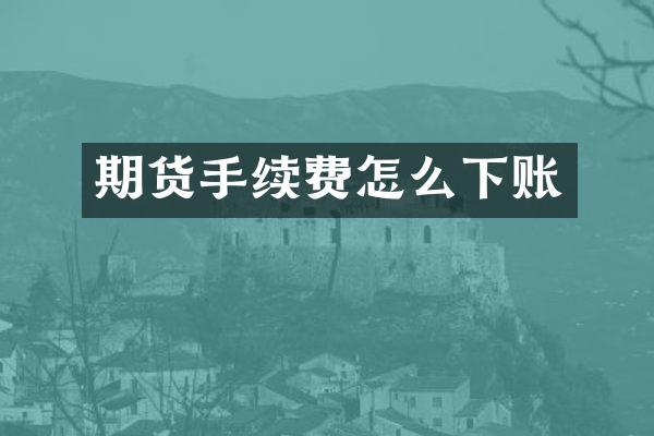 期货手续费怎么下账