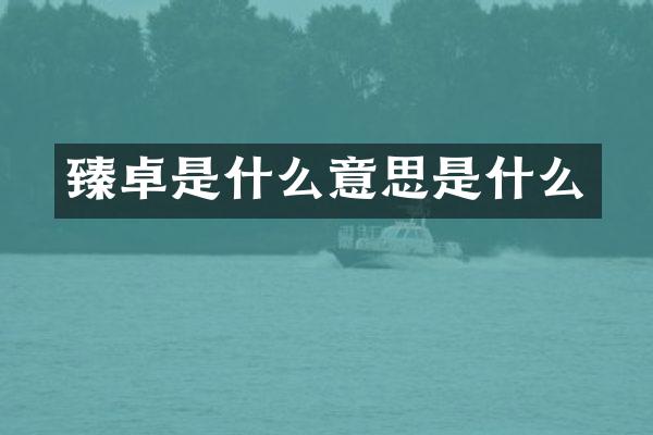 臻卓是什么意思是什么