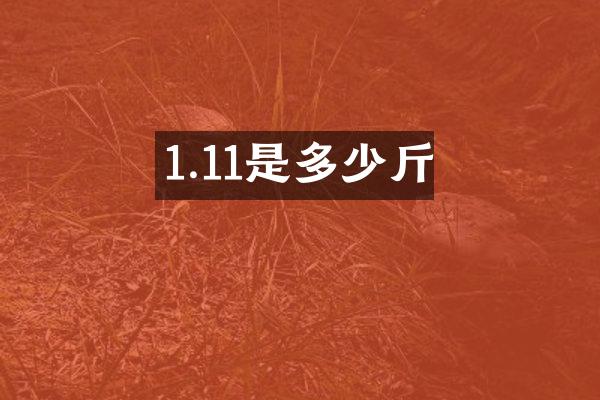 1.11是多少斤