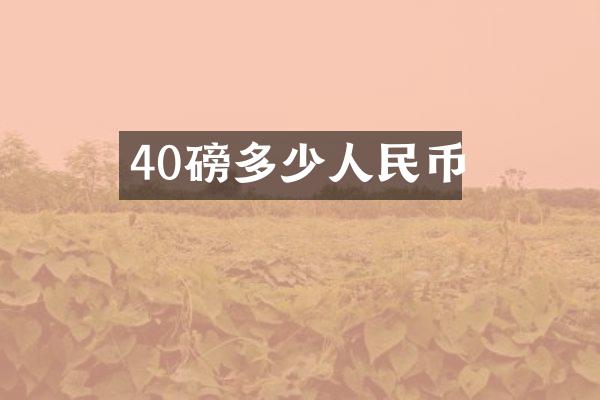 40磅多少人民币