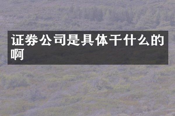 证券公司是具体干什么的啊