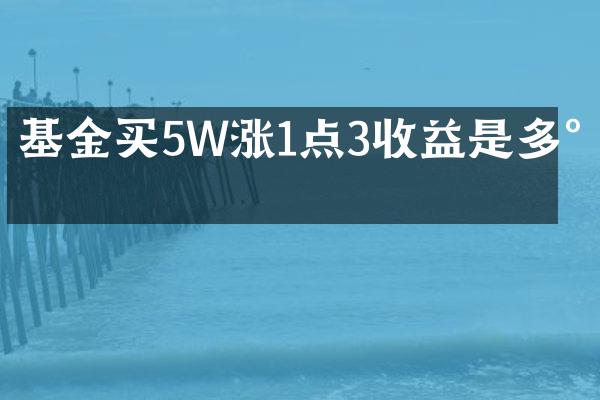 基金买5W涨1点3收益是多少